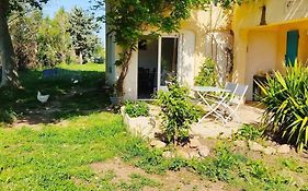 Offrez-Vous Un Sejour Dans Notre Gite A Entressen Une Grande Piscine Pour Se Rafraichir ,Un Espace De Jeux Pour Enfants Pour Des Heures De Divertissement Un Terrain De Petanque Pour Des Parties Endiablees